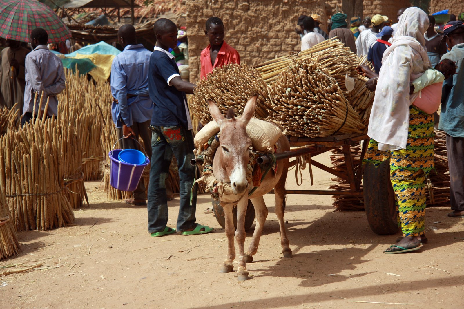 Marché aux bestiaux au Niger